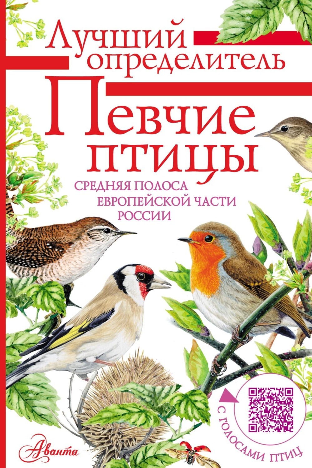 Обложка книги «Певчие птицы. Средняя полоса европейской части России. Определитель с голосами птиц»