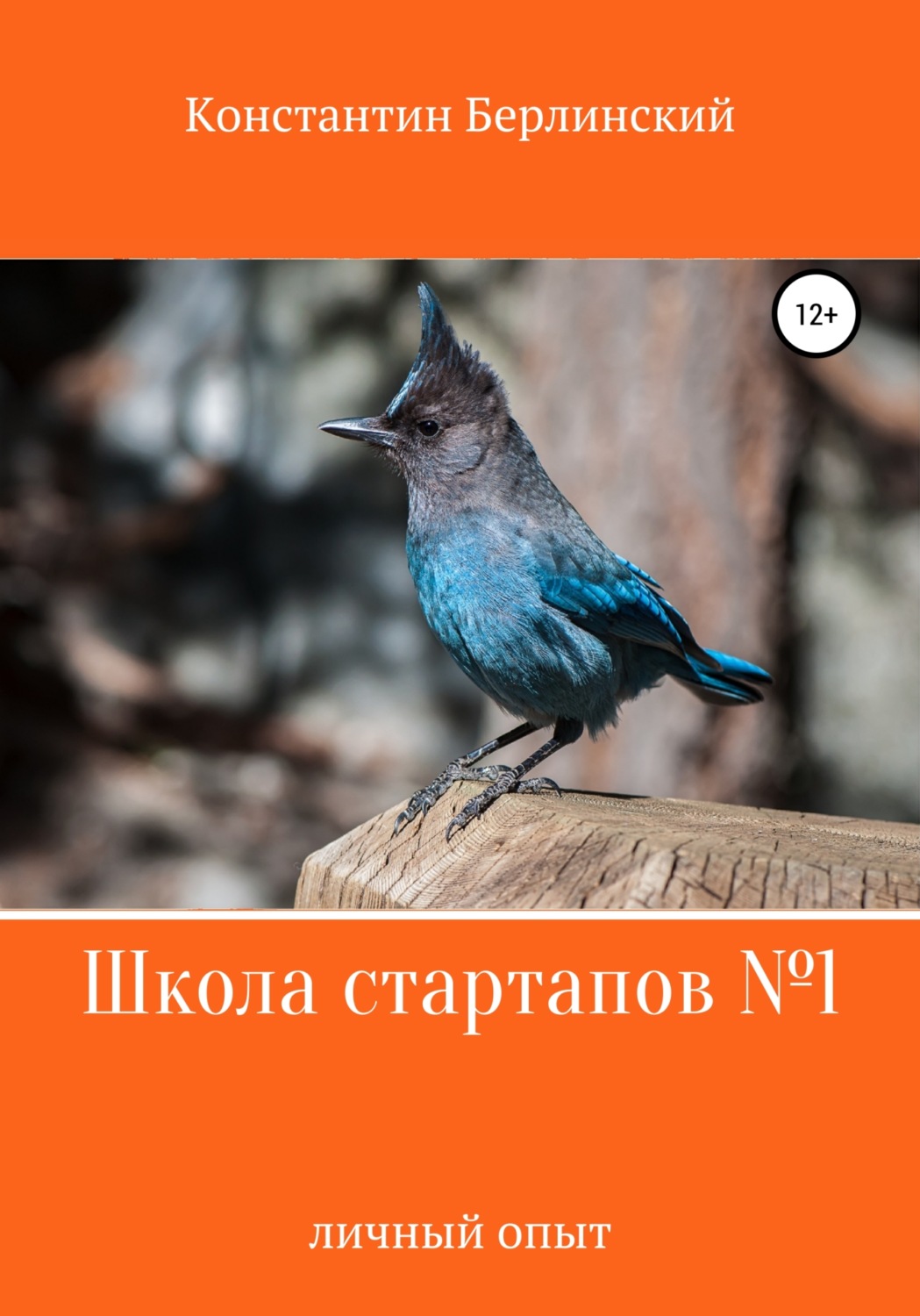 Обложка книги «Школа стартапов №1: Личный опыт»
