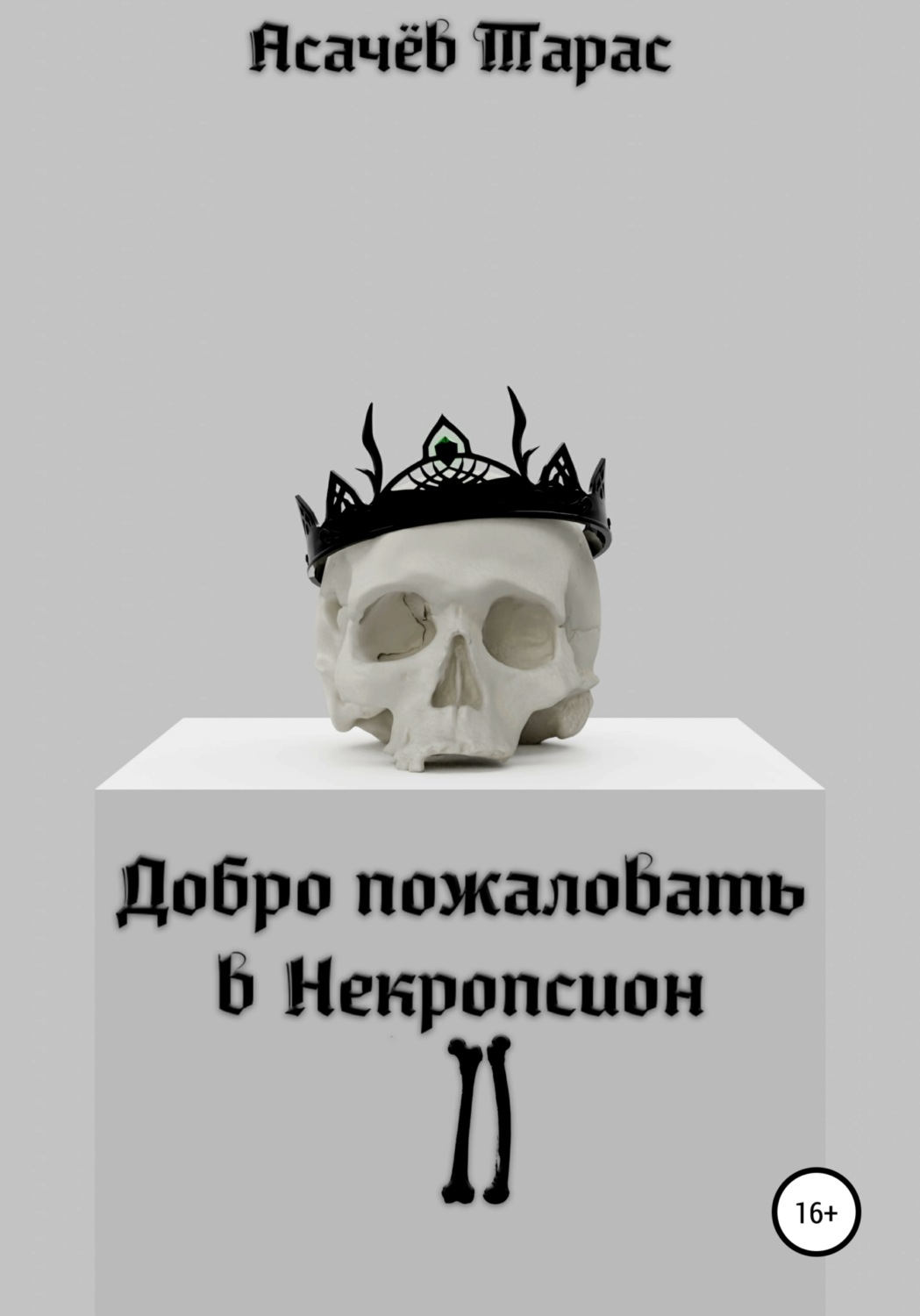 Обложка книги «Добро пожаловать в Некропсион II»