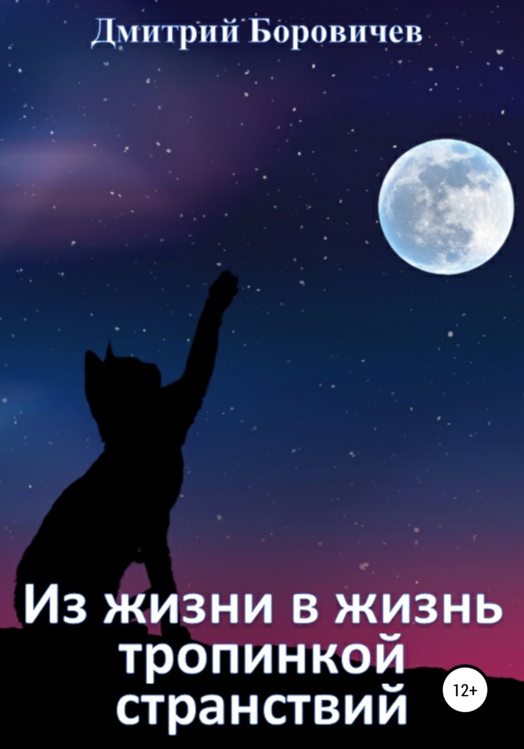Обложка книги «Из жизни в жизнь тропинкой странствий»