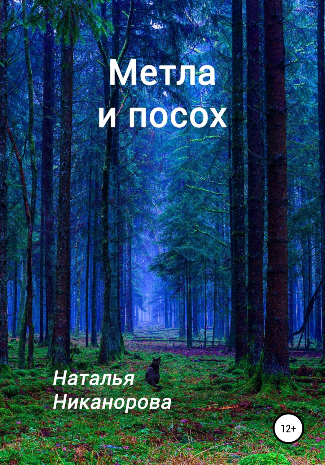 Обложка книги «Метла и посох»
