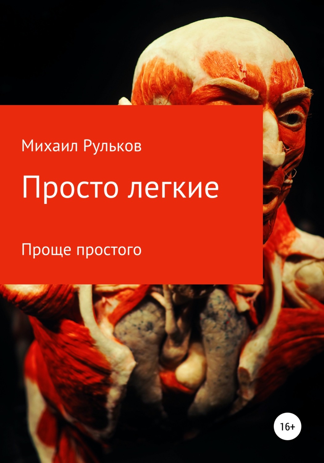 Обложка книги «Просто легкие»