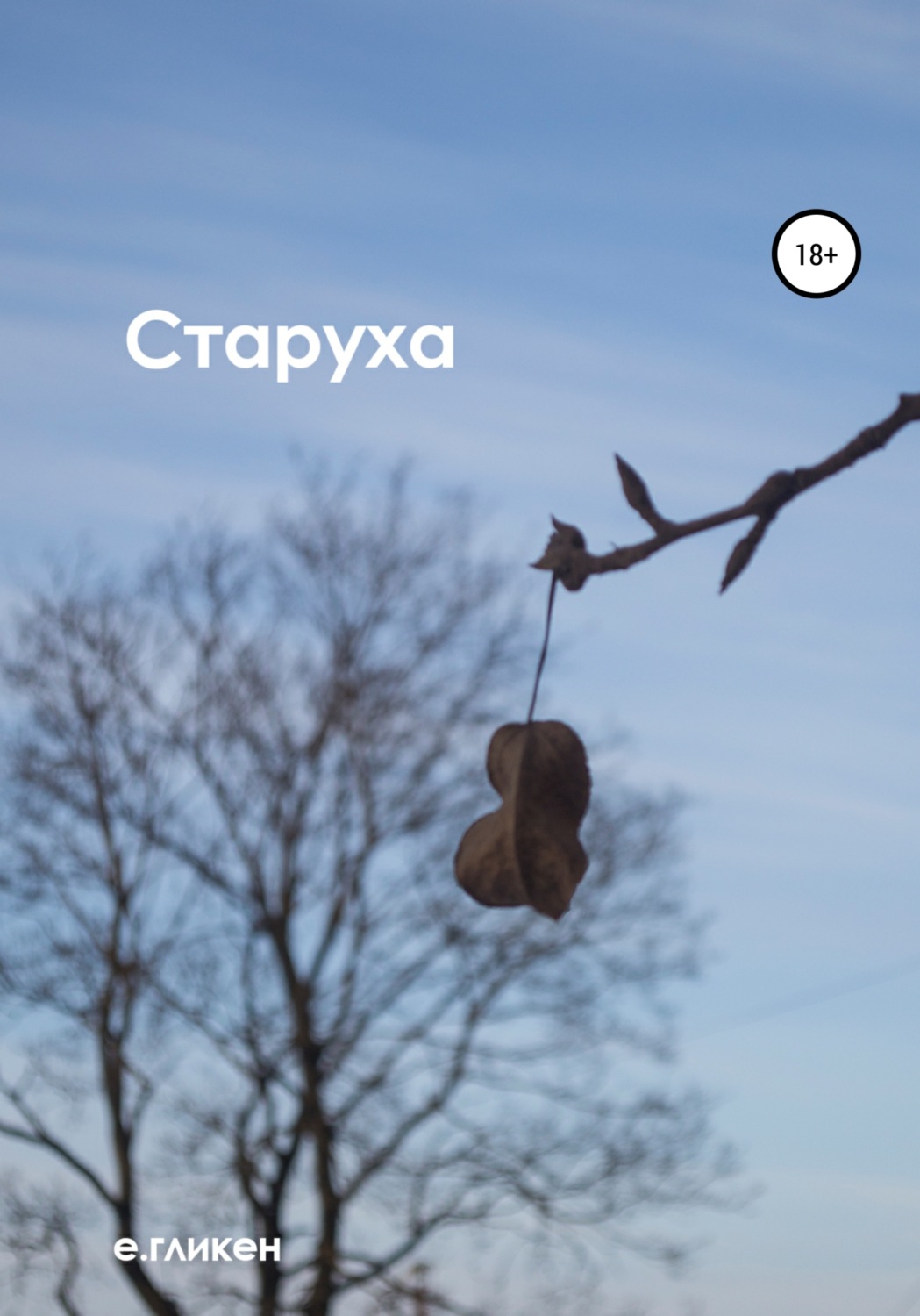 Обложка книги «Старуха»