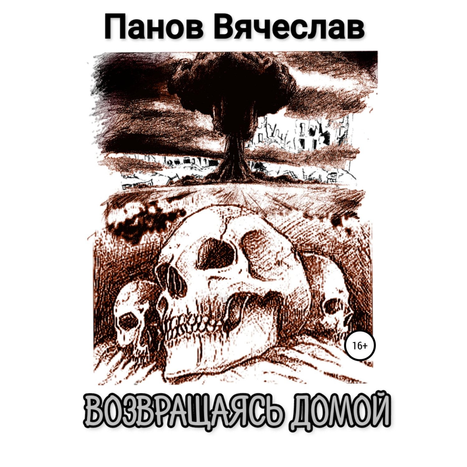 Обложка книги «Возвращаясь домой»