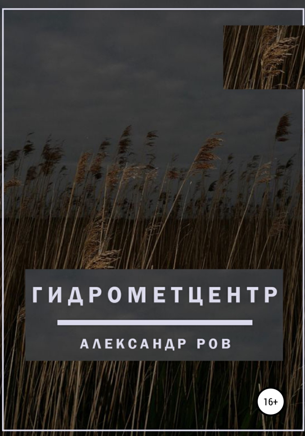 Обложка книги «Гидрометцентр»