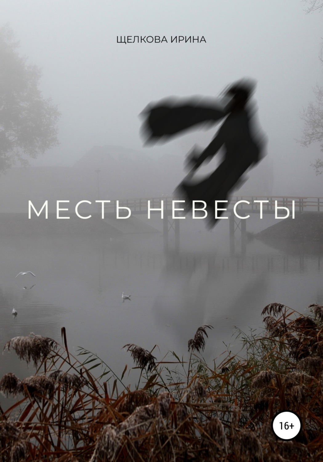 Обложка книги «Месть невесты»