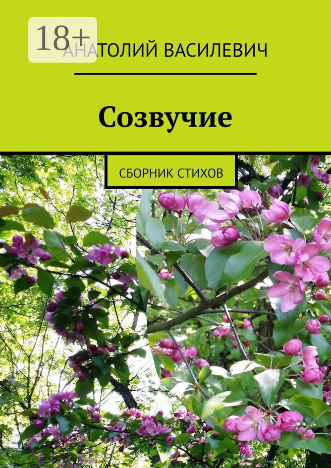 Обложка книги «Созвучие. Сборник стихов»