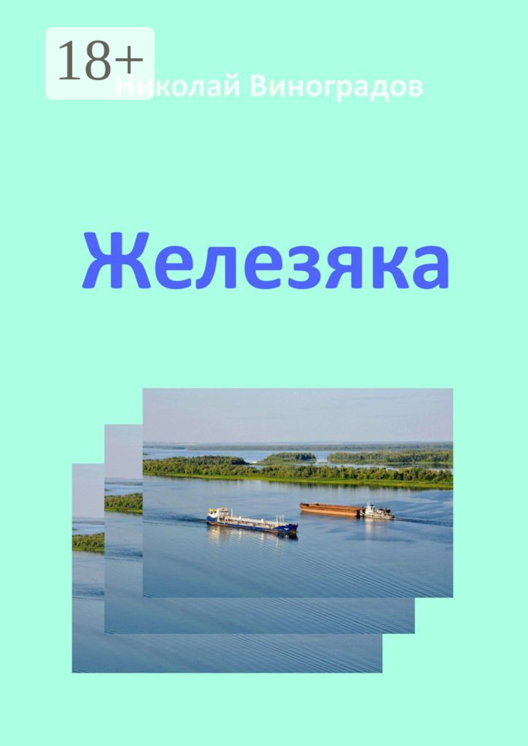 Обложка книги «Железяка»