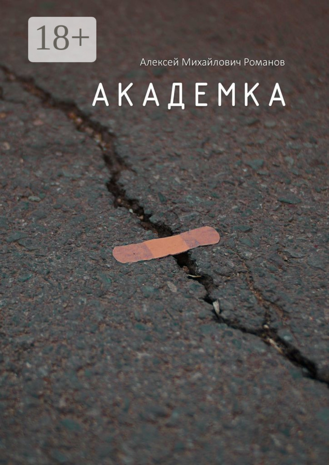 Обложка книги «Академка»