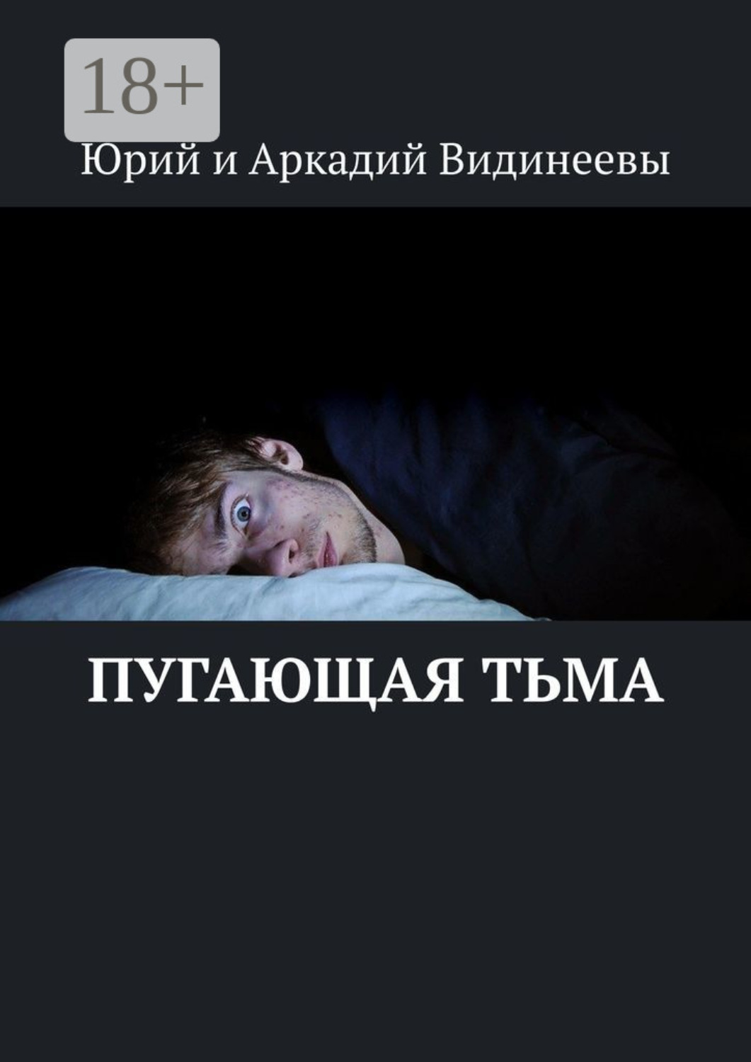 Обложка книги «Пугающая тьма»