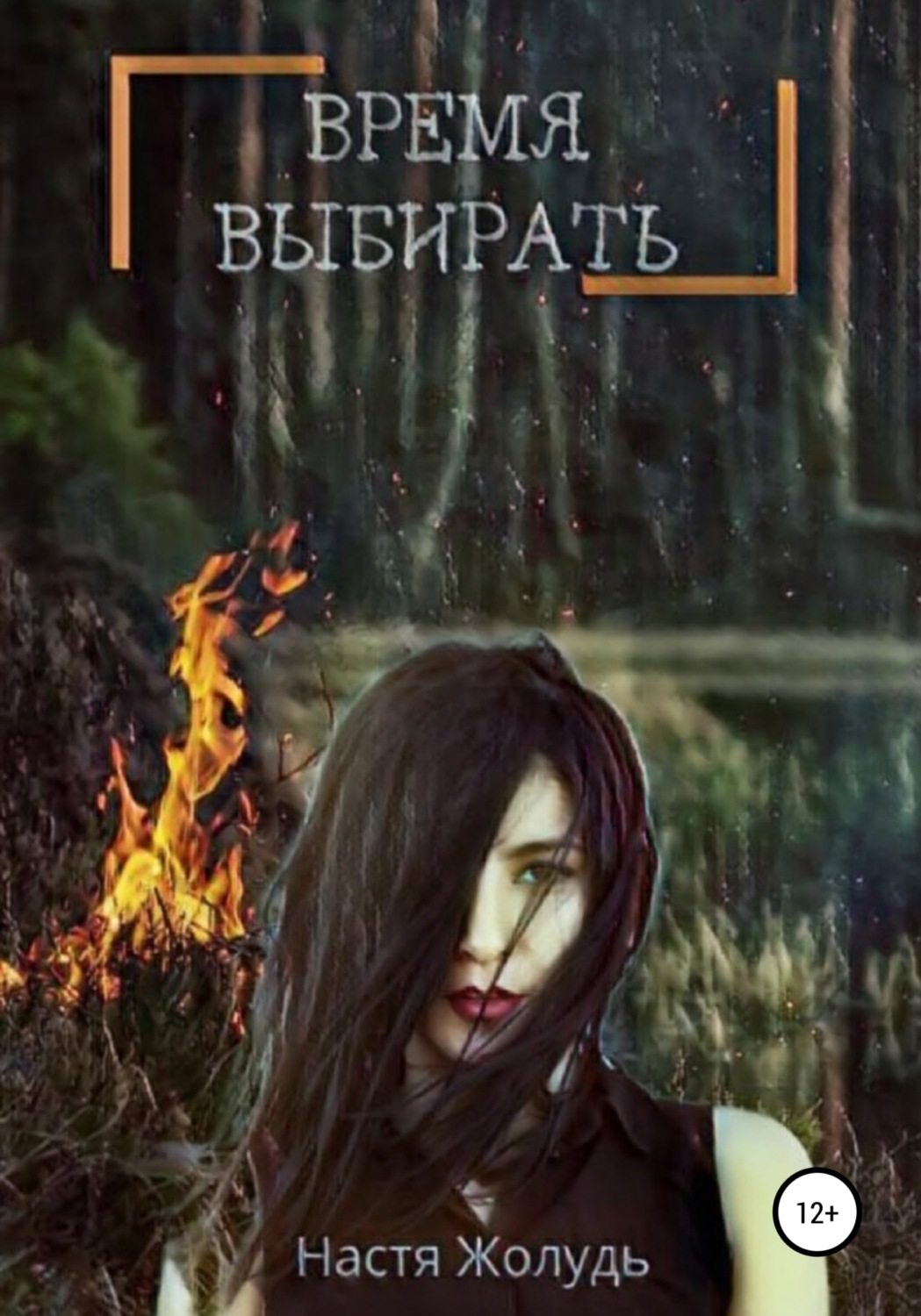 Обложка книги «Время выбирать»