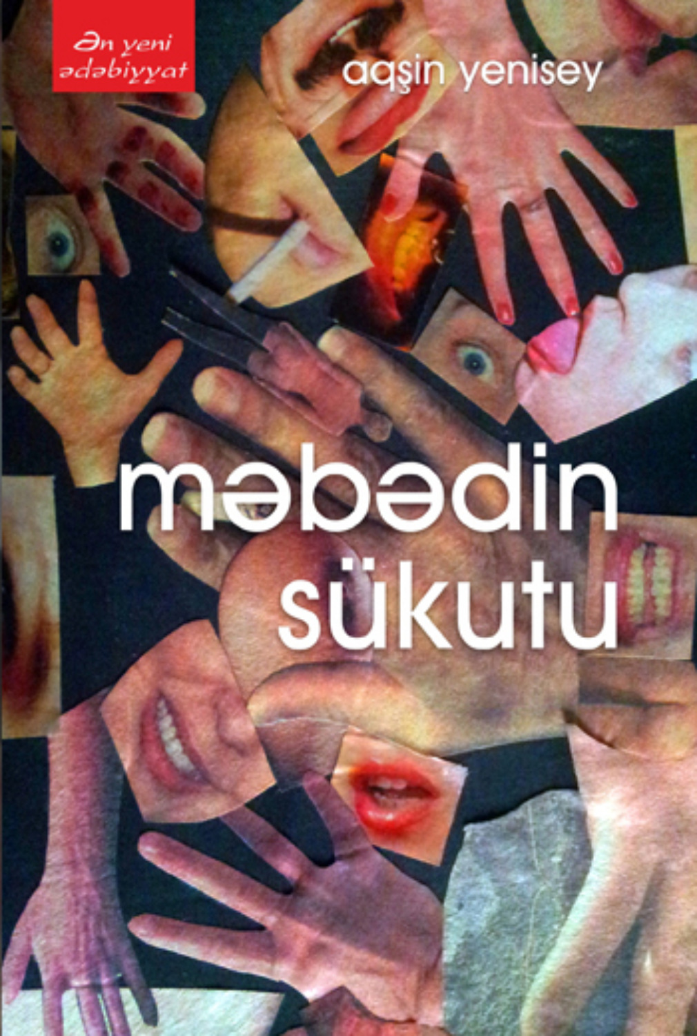 Обложка книги «MƏBƏDİN SÜKUTU»