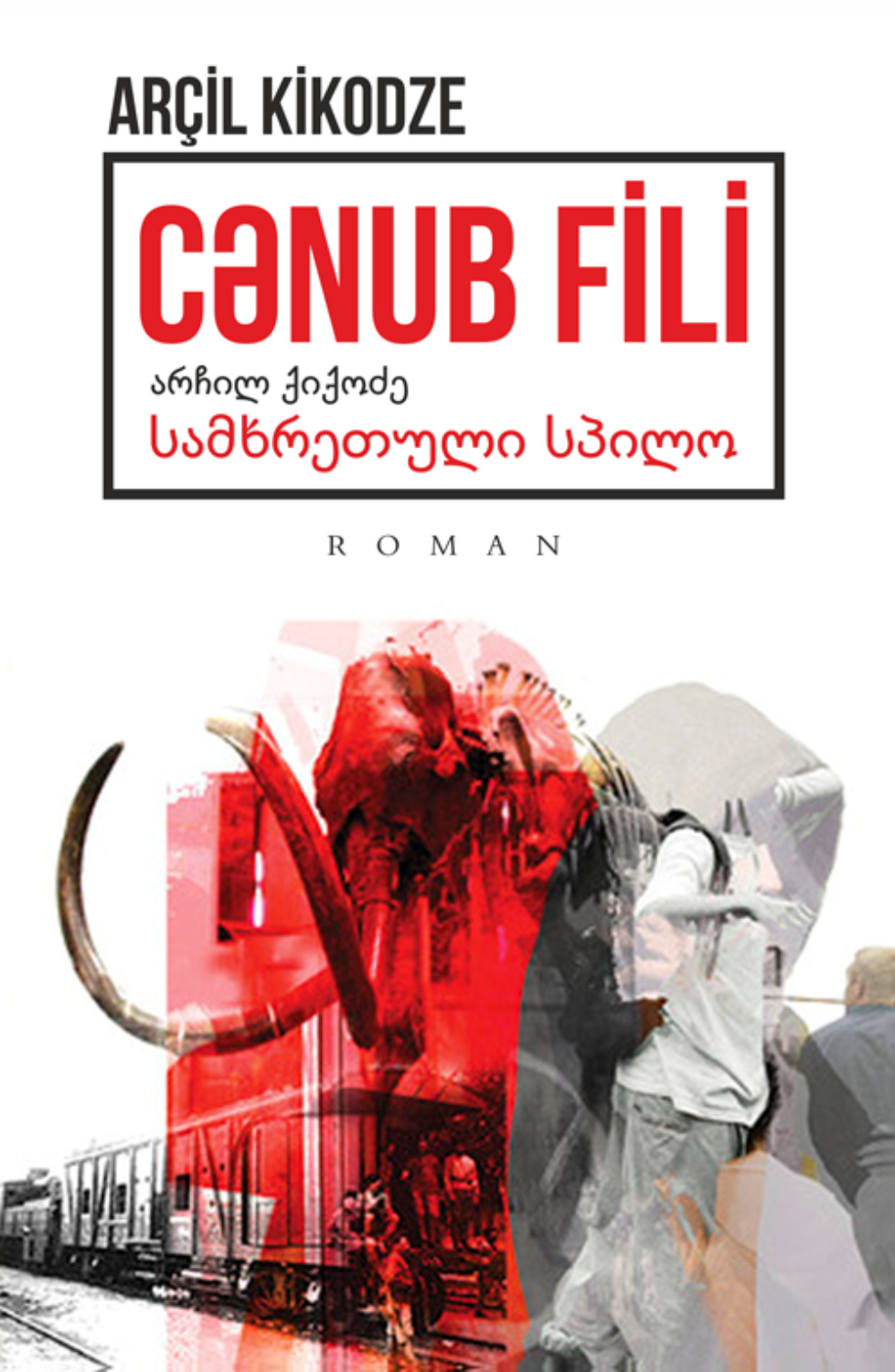 Обложка книги «CƏNUB FİLİ»