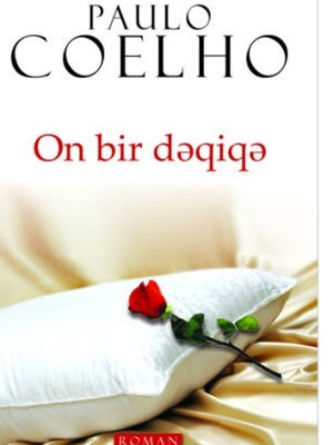 Обложка книги «ON BİR DƏQİQƏ»