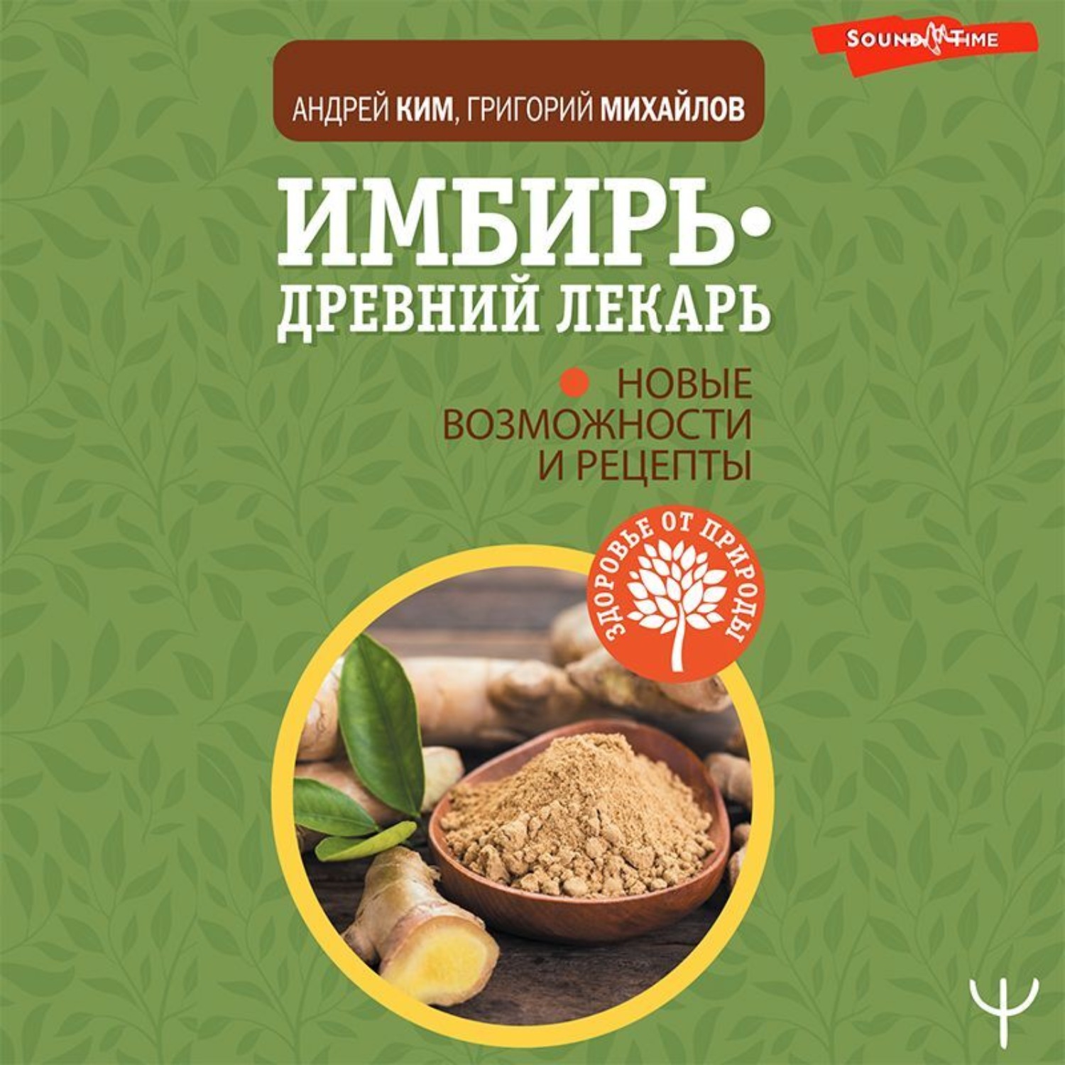 Обложка книги «Имбирь – древний лекарь. Новые возможности и рецепты»