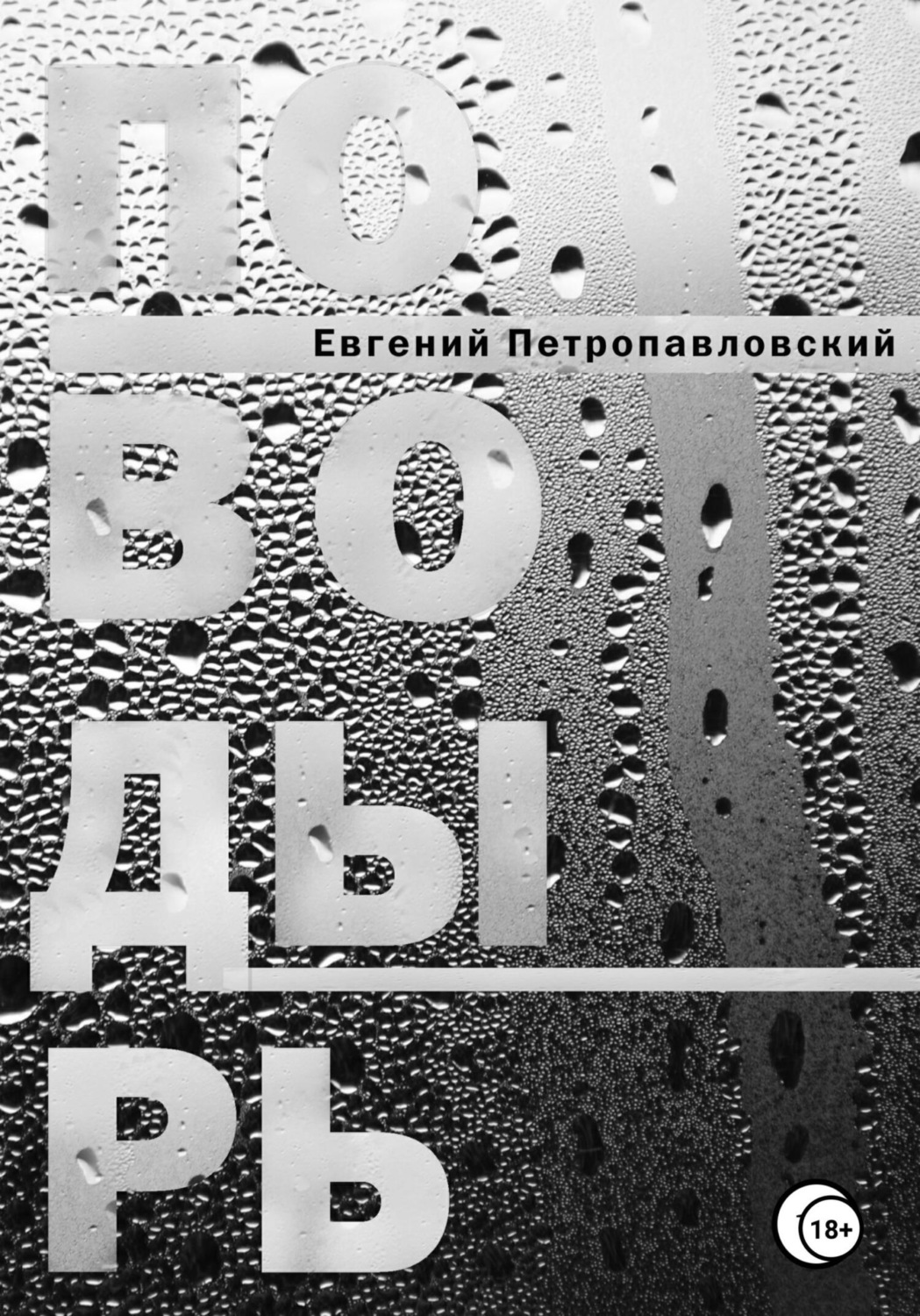 Обложка книги «Поводырь»
