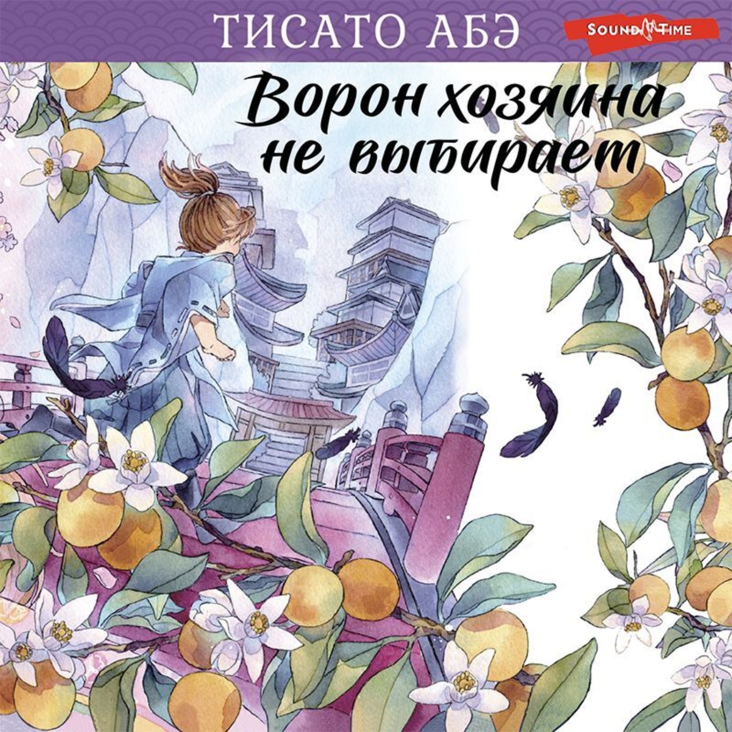 Обложка книги «Ворон хозяина не выбирает»