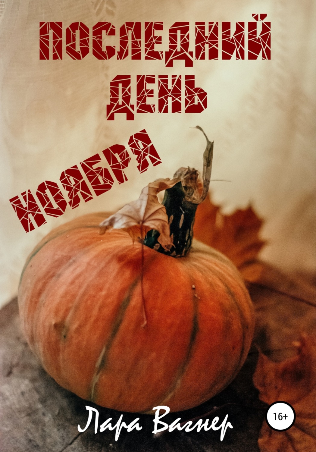 Обложка книги «Последний день ноября»