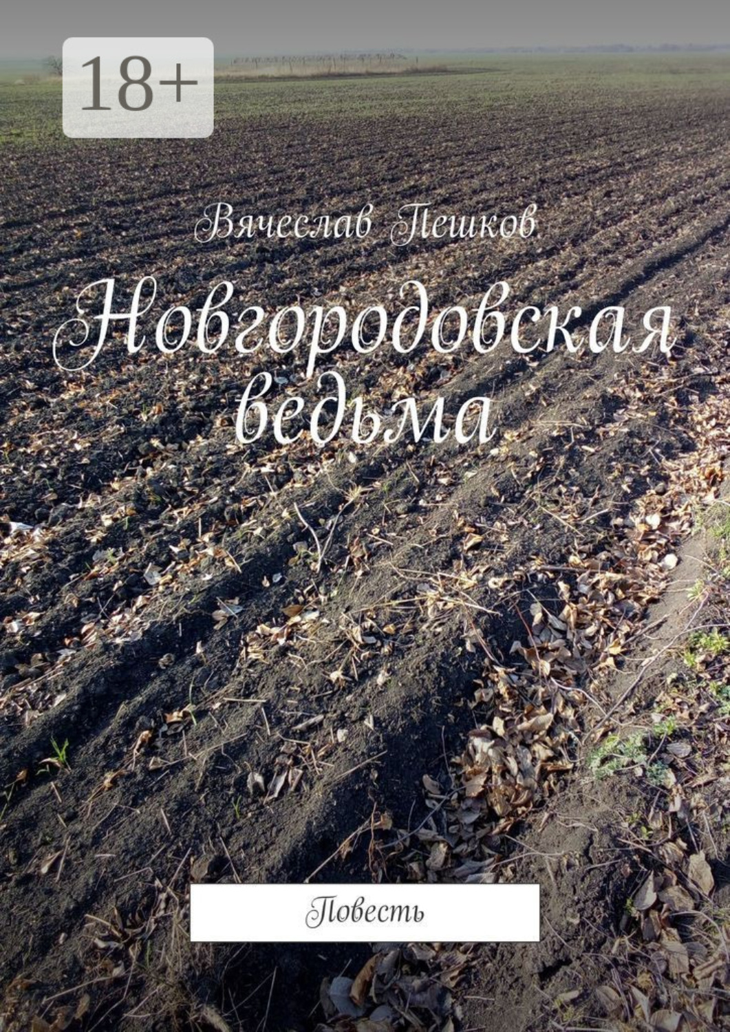 Обложка книги «Новгородовская ведьма. Повесть»