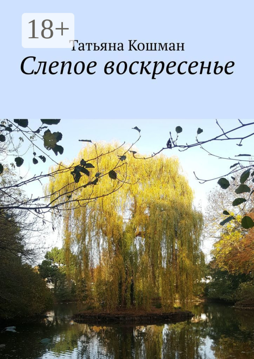 Обложка книги «Слепое воскресенье»