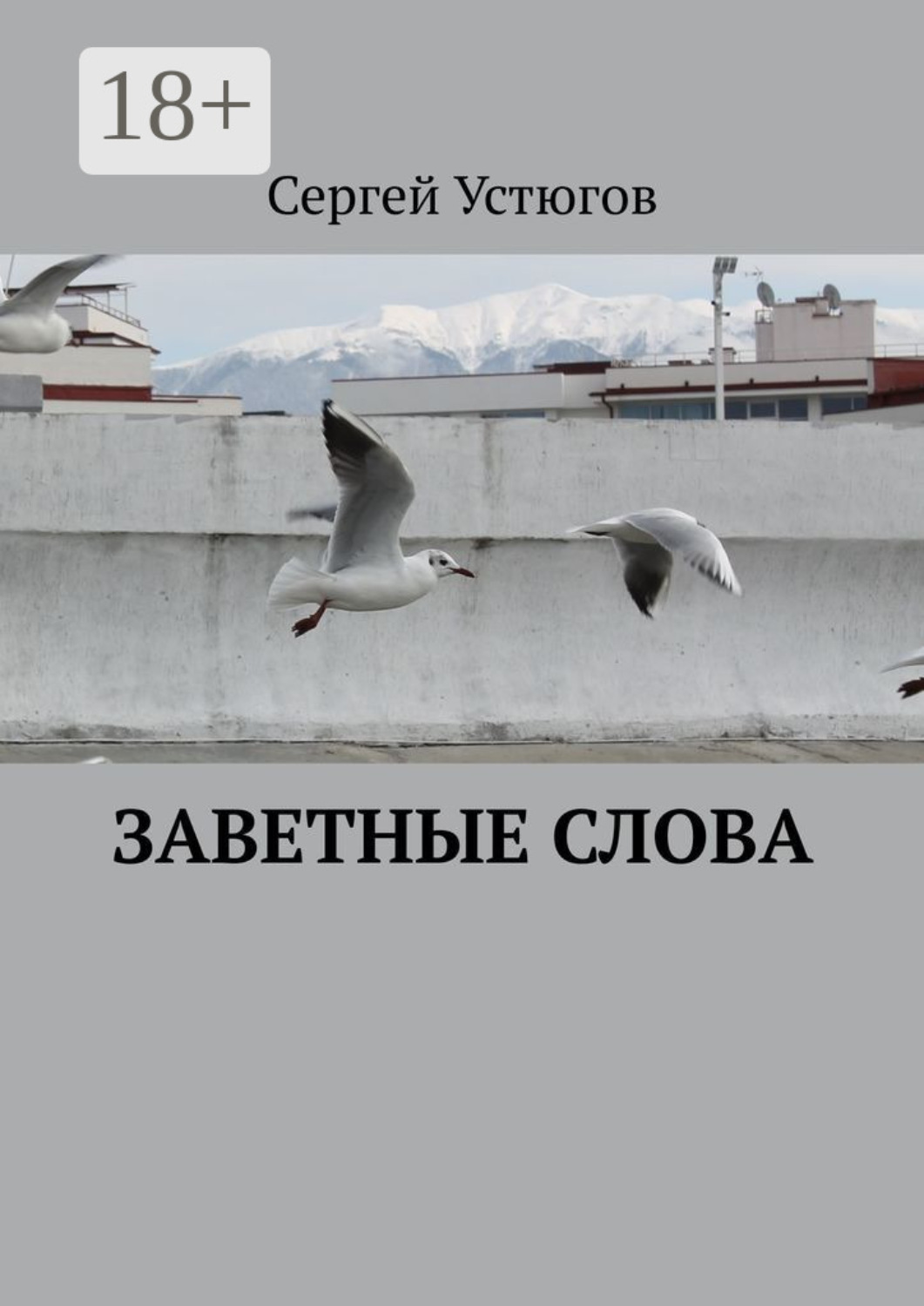 Обложка книги «Заветные слова»