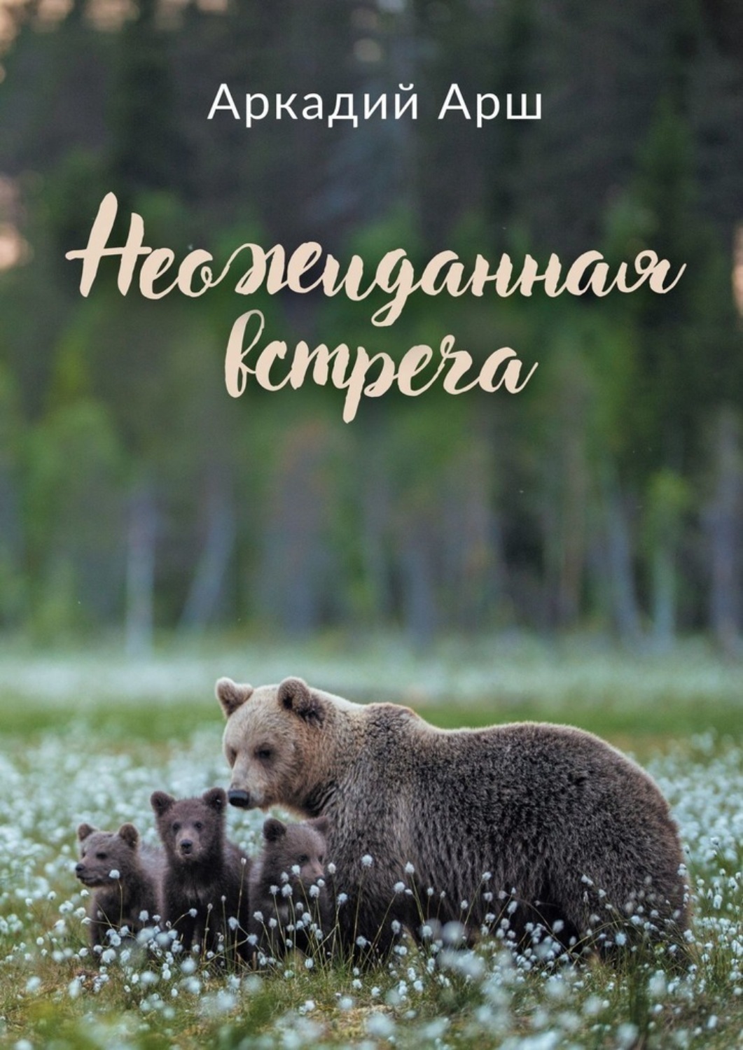 Обложка книги «Неожиданная встреча»