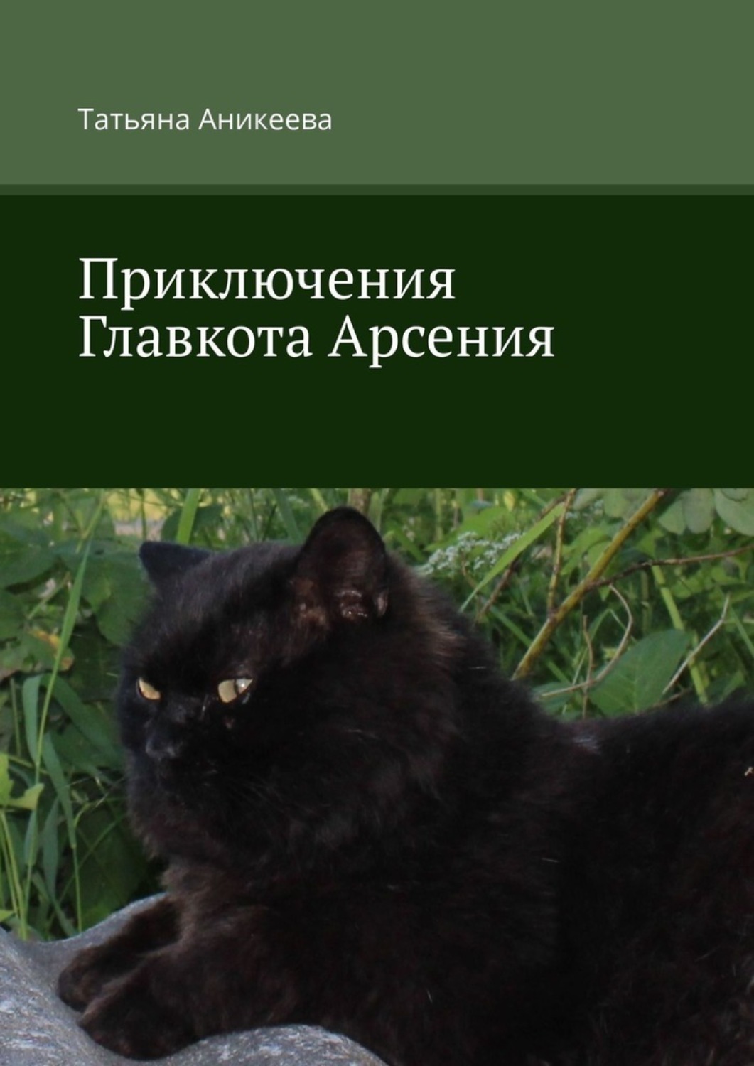 Обложка книги «Приключения Главкота Арсения»