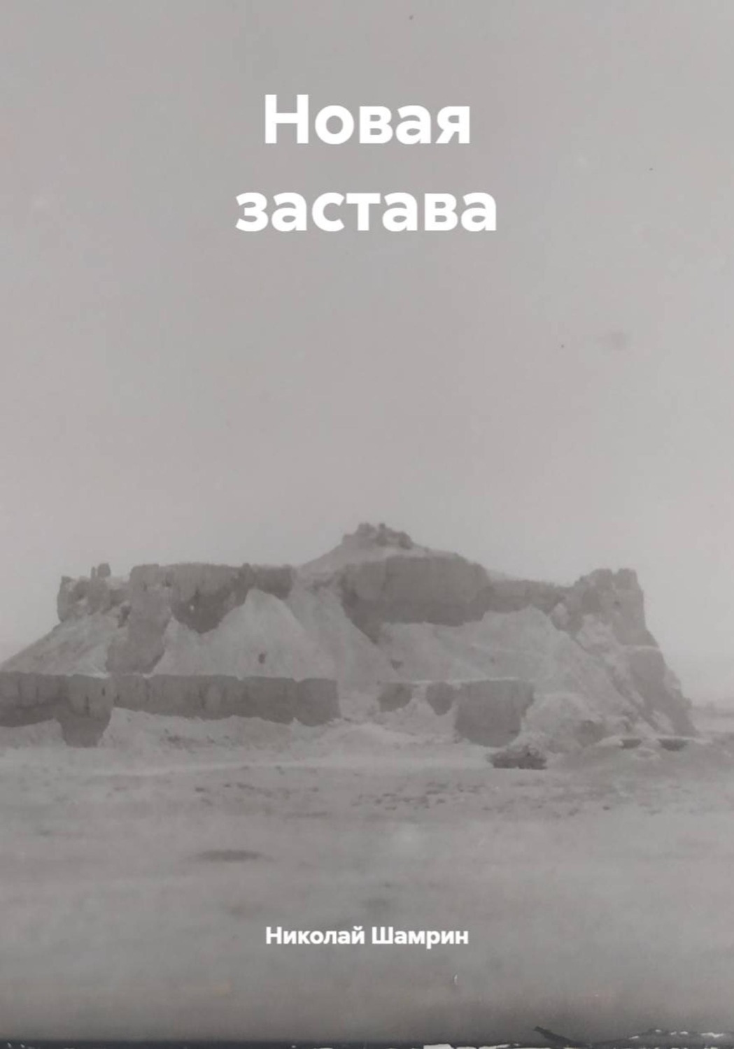 Обложка книги «Новая застава»