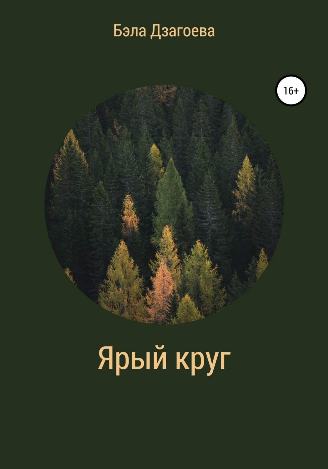 Обложка книги «Ярый круг»