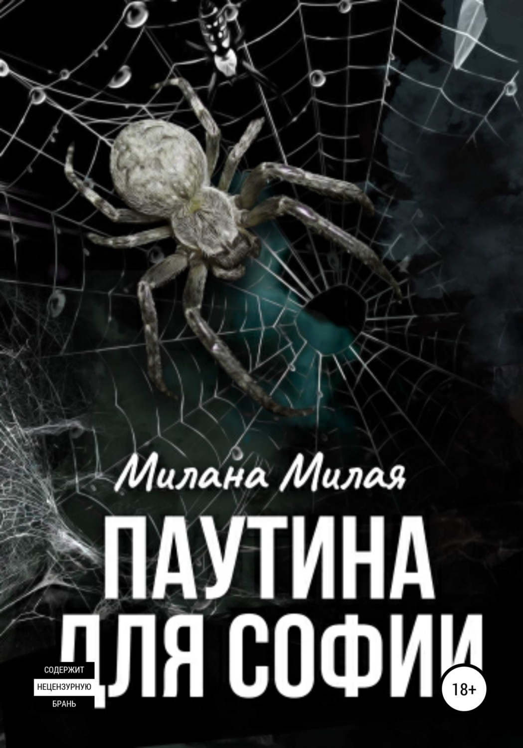 Обложка книги «Паутина для Софии»