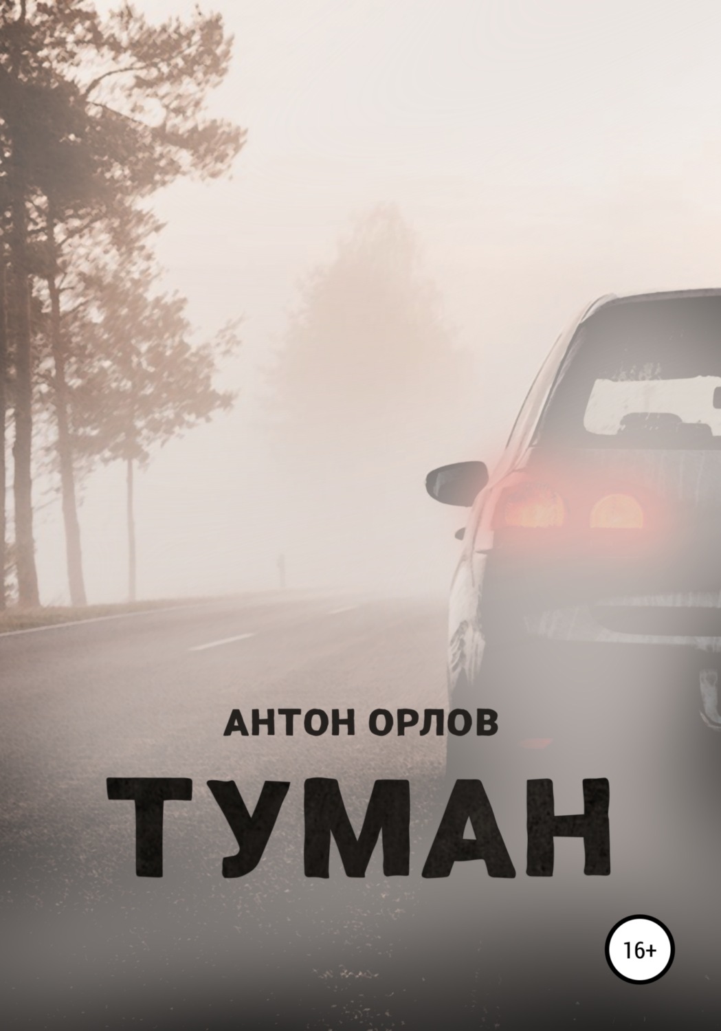 Обложка книги «Туман»