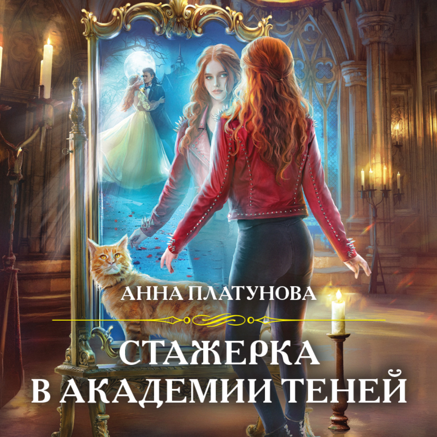 Обложка книги «Стажерка в Академии Теней»