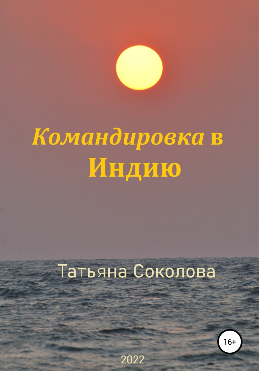 Обложка книги «Командировка в Индию»