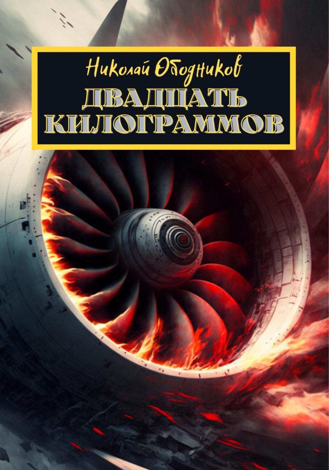 Обложка книги «Двадцать килограммов»