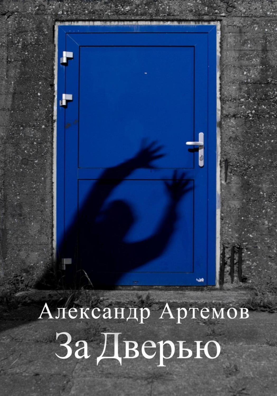 Обложка книги «За Дверью»