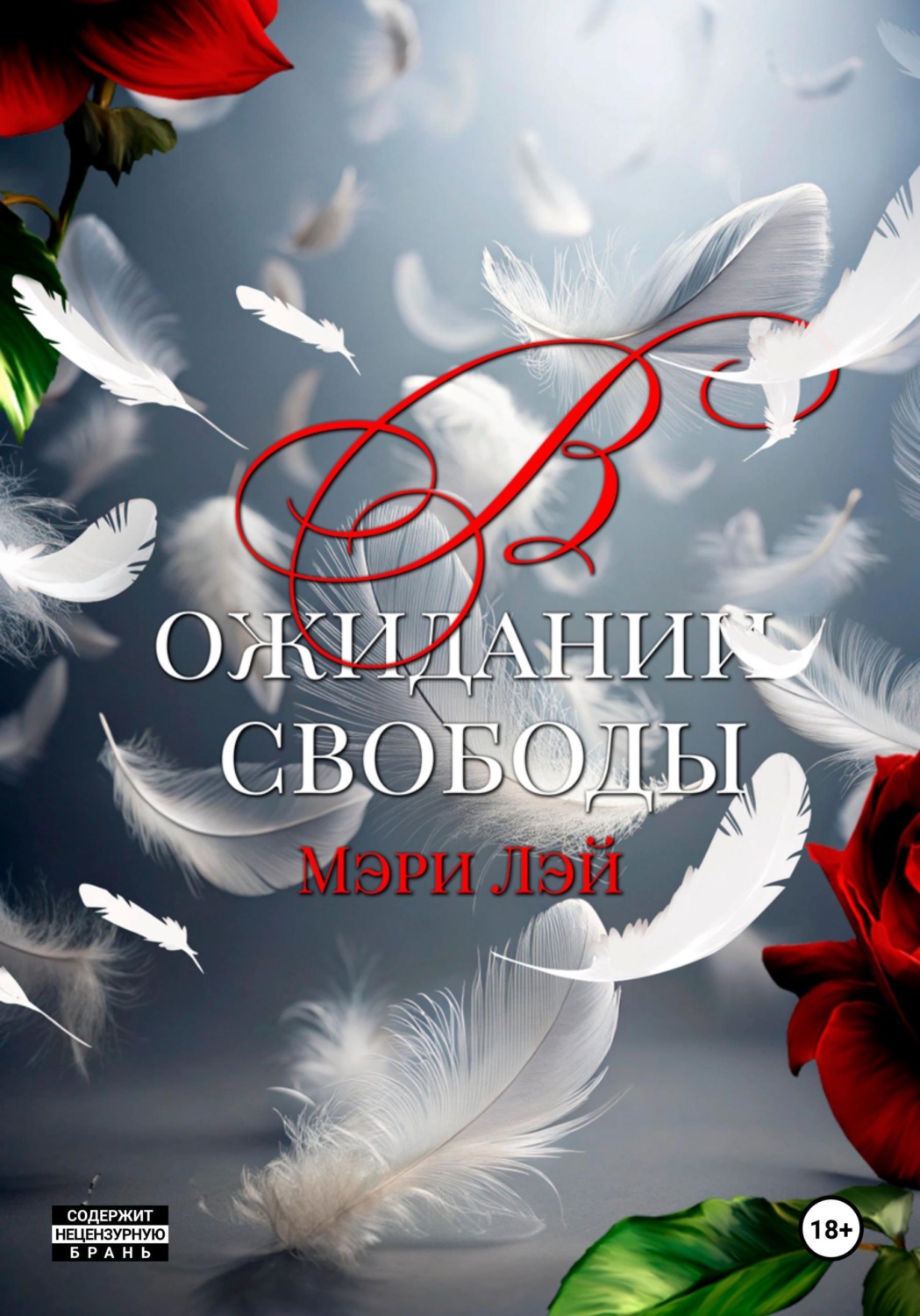 Обложка книги «В ожидании свободы»
