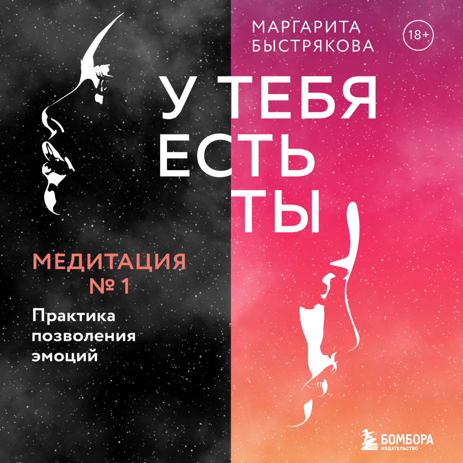 Обложка книги «У тебя есть ты. Медитация 1. Практика позволения эмоций»