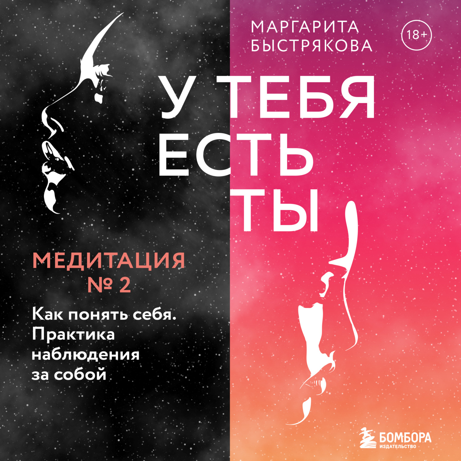 Обложка книги «У тебя есть ты. Медитация 2. Как понять себя. Практика наблюдения за собой»