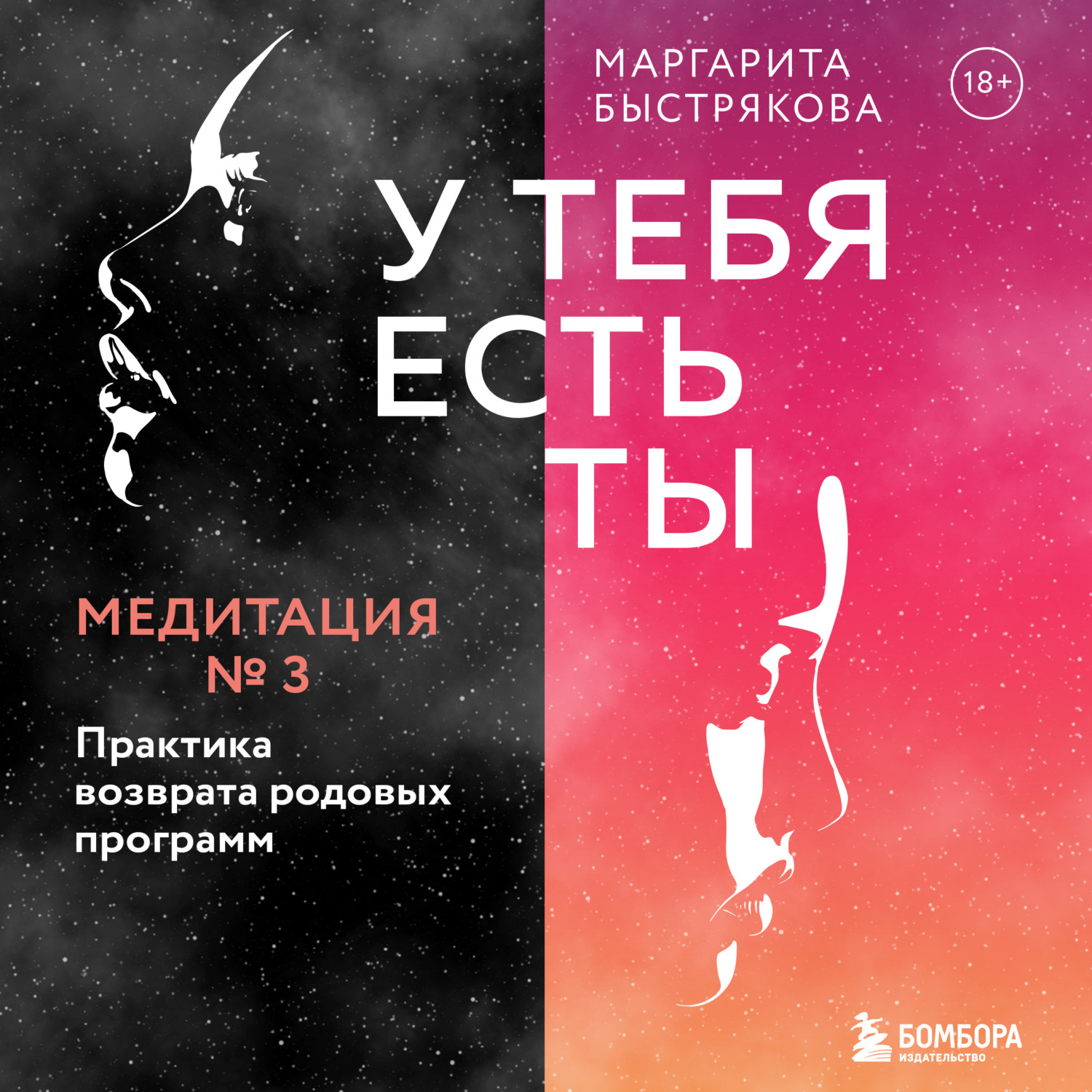 Обложка книги «У тебя есть ты. Медитация 3. Практика возврата родовых программ»