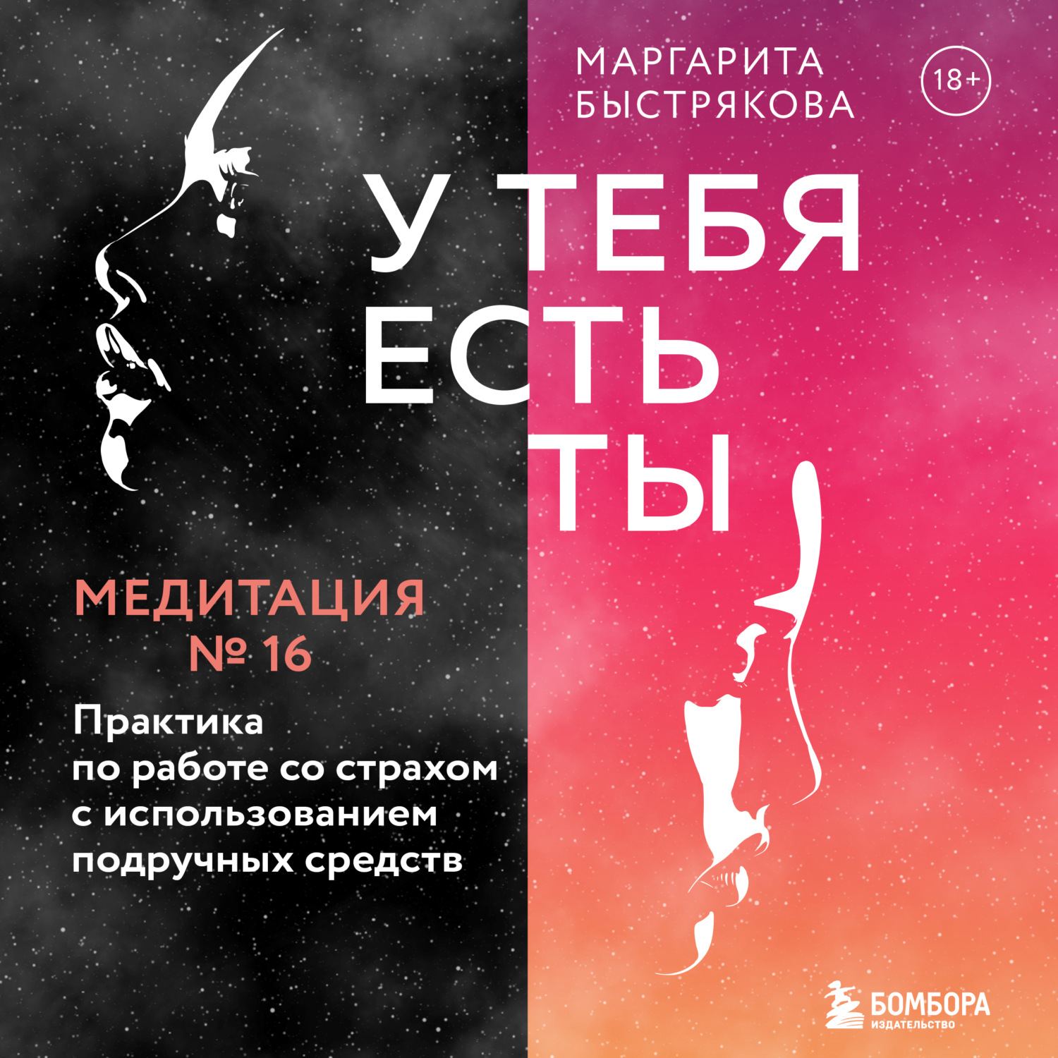 Обложка книги «У тебя есть ты. Медитация 16. Практика по работе со страхом с использованием подручных средств»