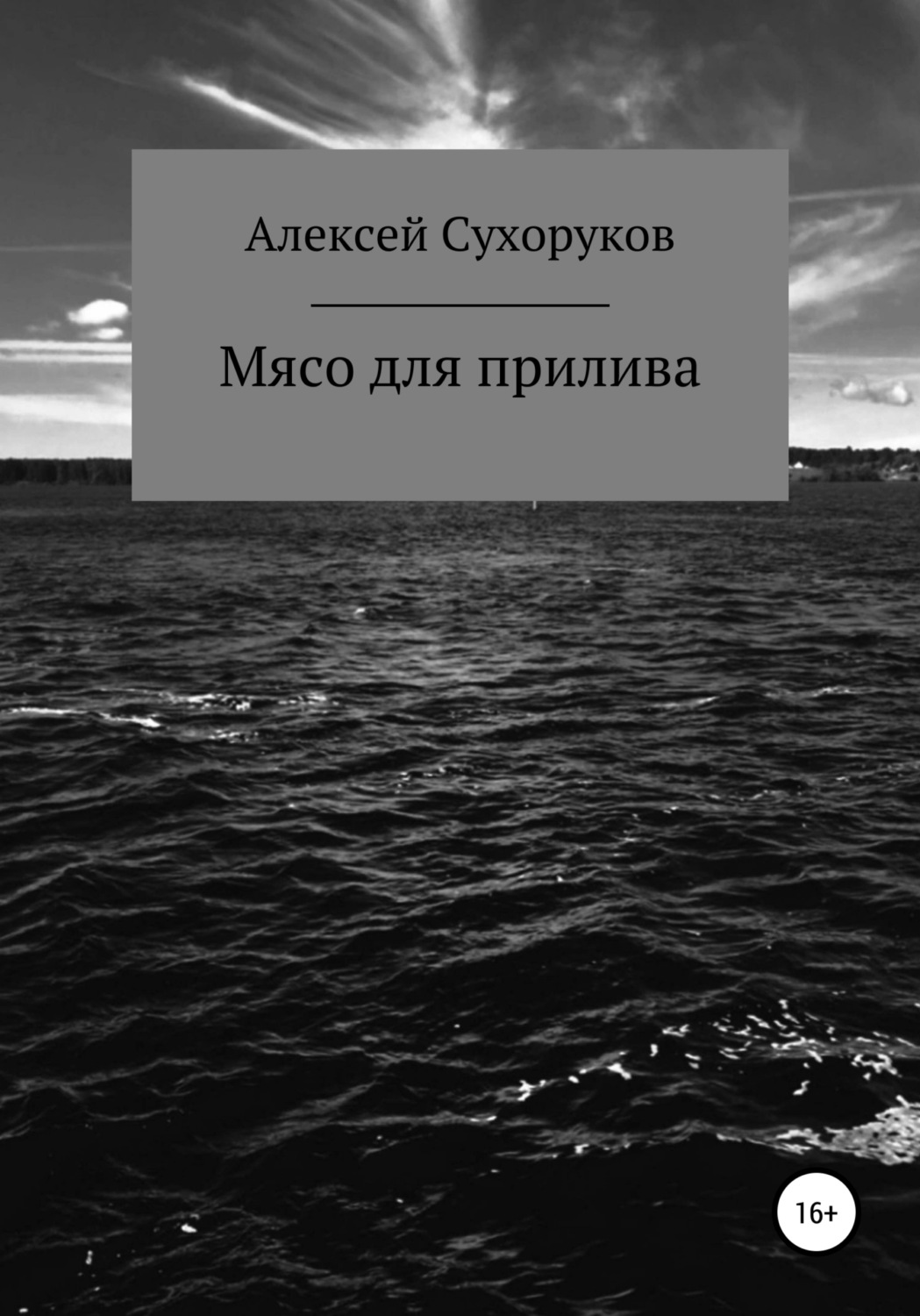 Обложка книги «Мясо для прилива»