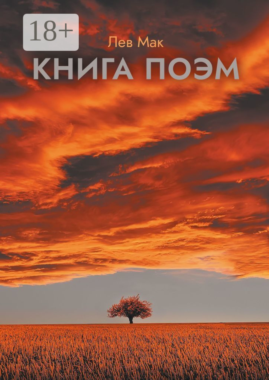 Обложка книги «Книга поэм»