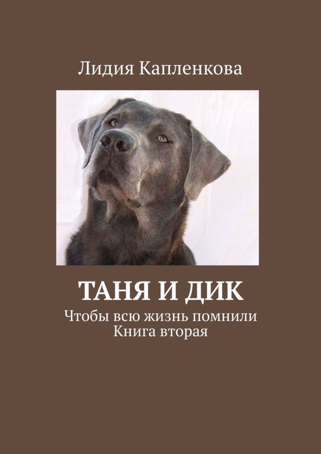 Обложка книги «Таня и Дик. Чтобы всю жизнь помнили. Книга вторая»