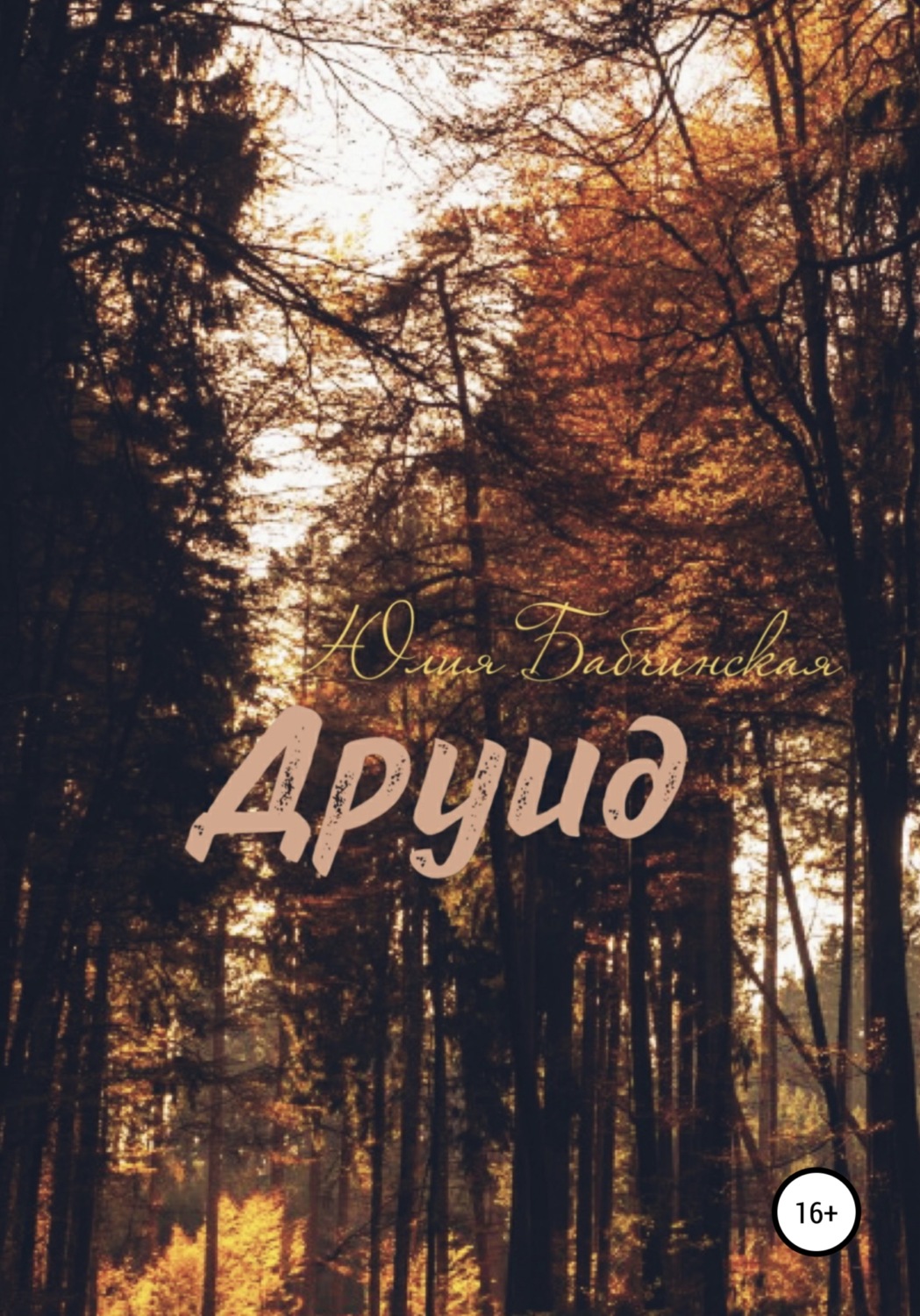 Обложка книги «Друид»