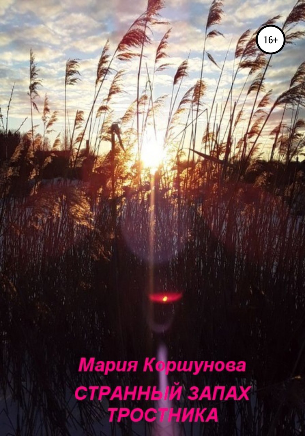 Обложка книги «Странный запах тростника»