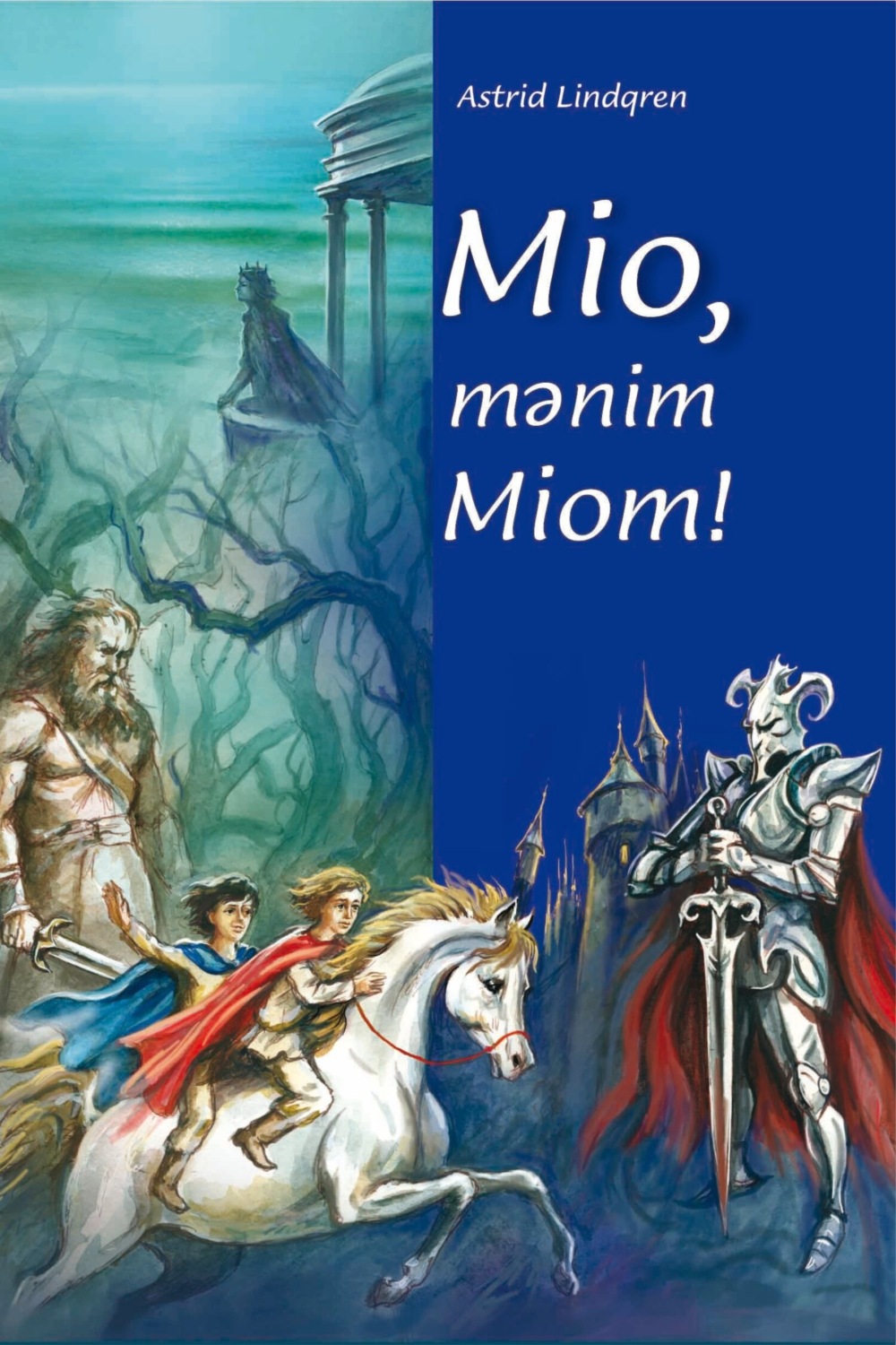 Обложка книги «Mio, mənim Miom»