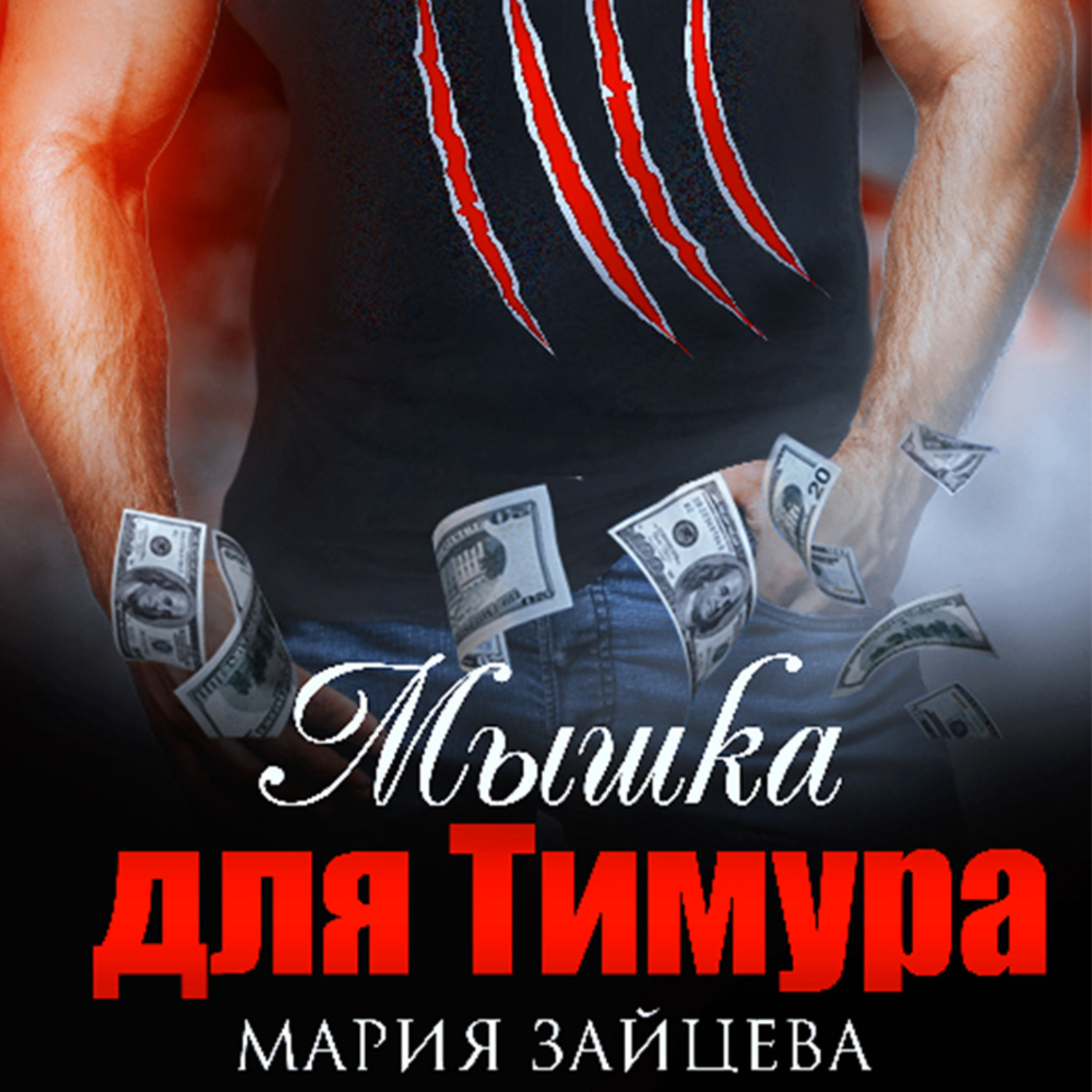 Обложка книги «Мышка для Тимура»