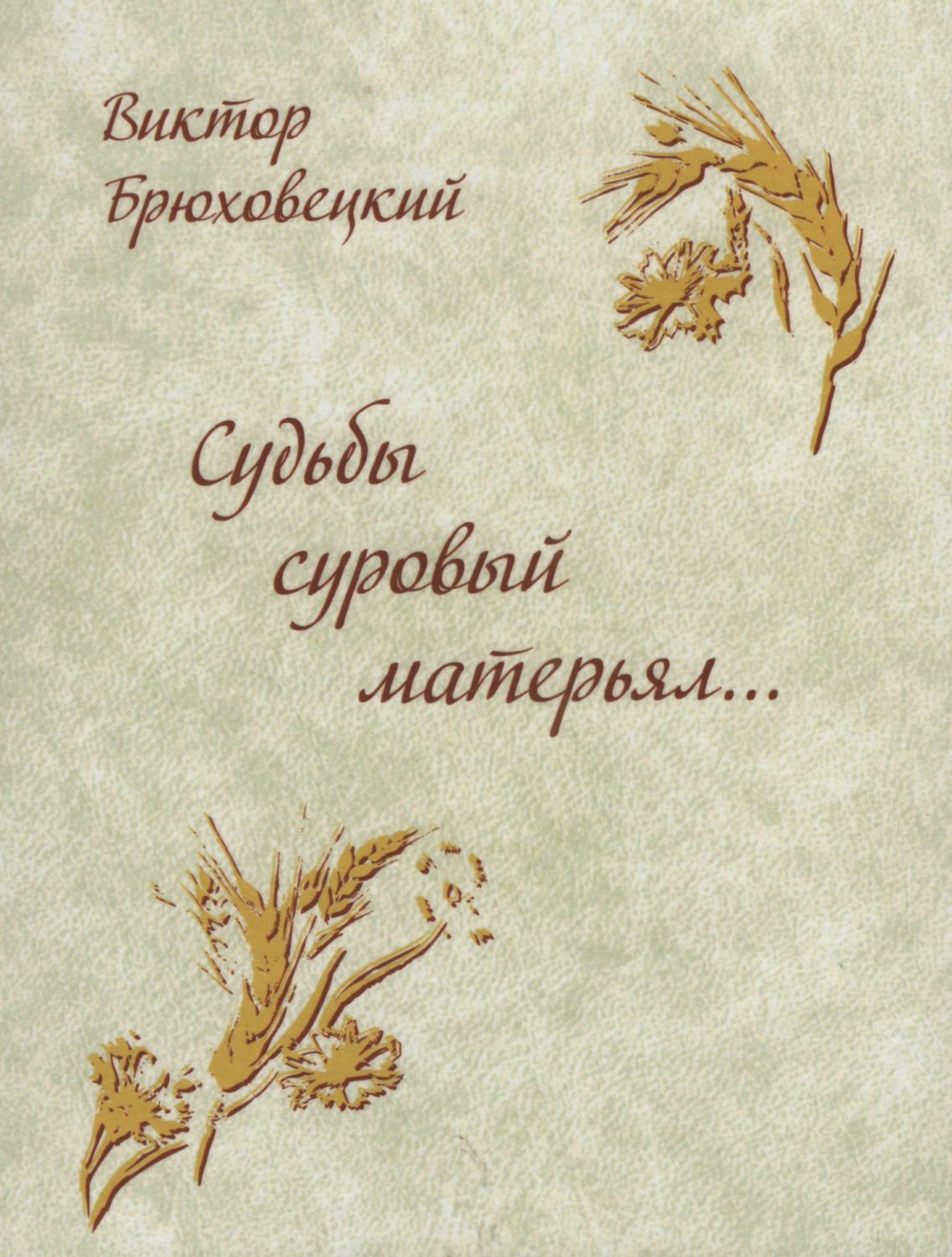 Обложка книги «Судьбы суровый матерьял…»