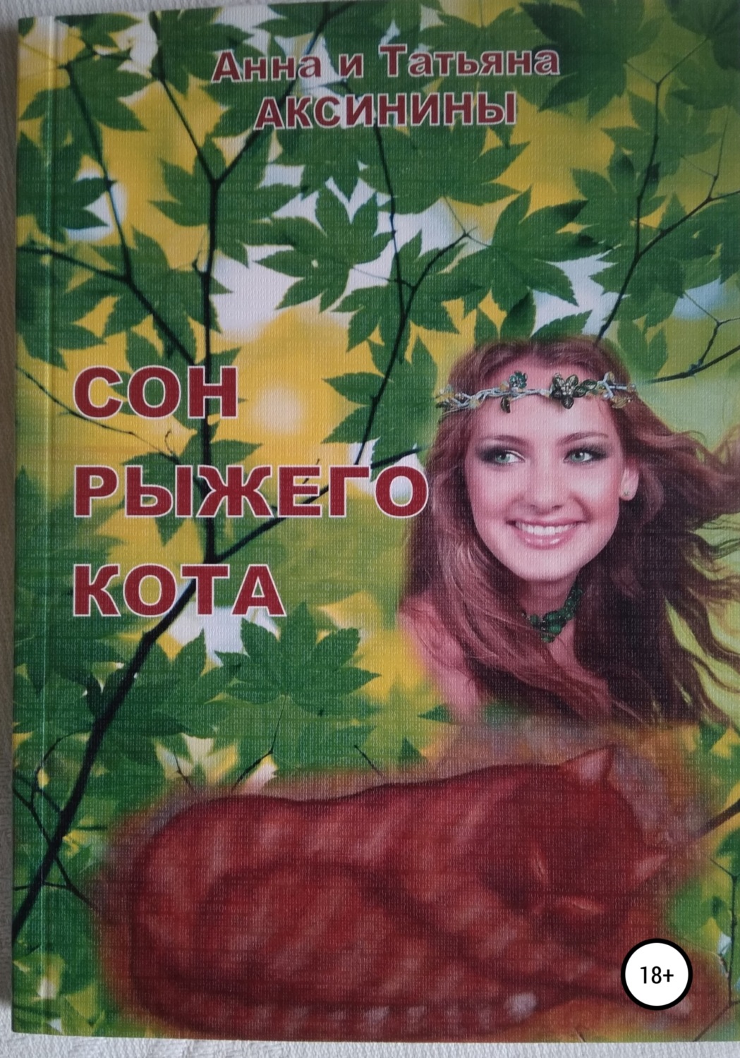 Обложка книги «Сон рыжего кота»