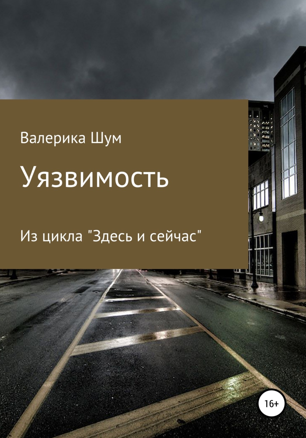 Обложка книги «Уязвимость»